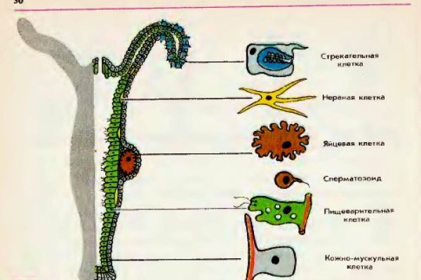 Kraken сайт магазин