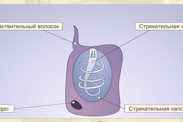Кракен тор kraken dark