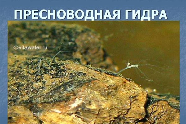 Браузер для кракен