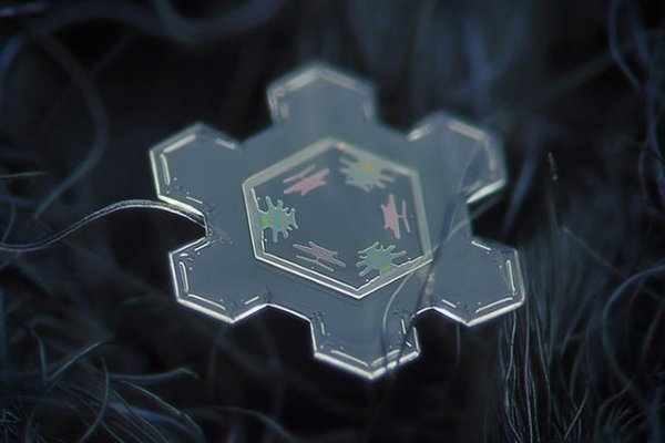 Kraken url