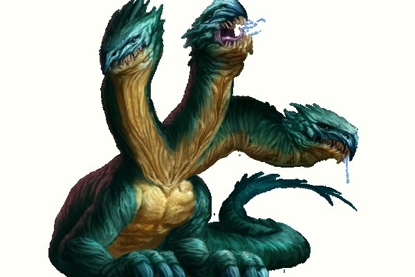 Kraken 17 at net