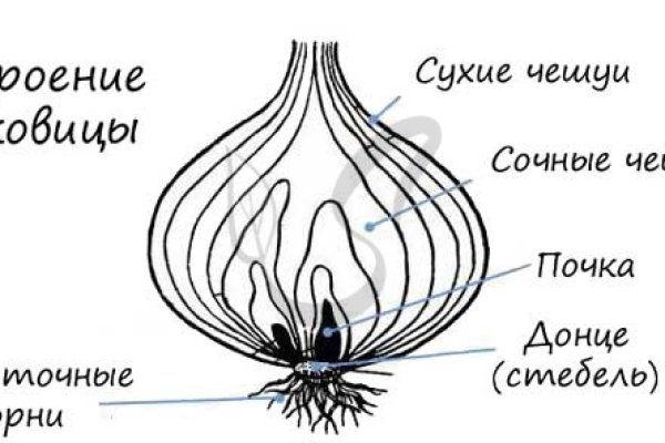 Кракен как зайти